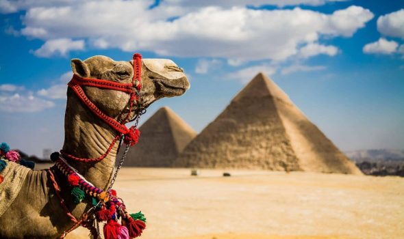 Надежное агентство для покупки туров в Египет
